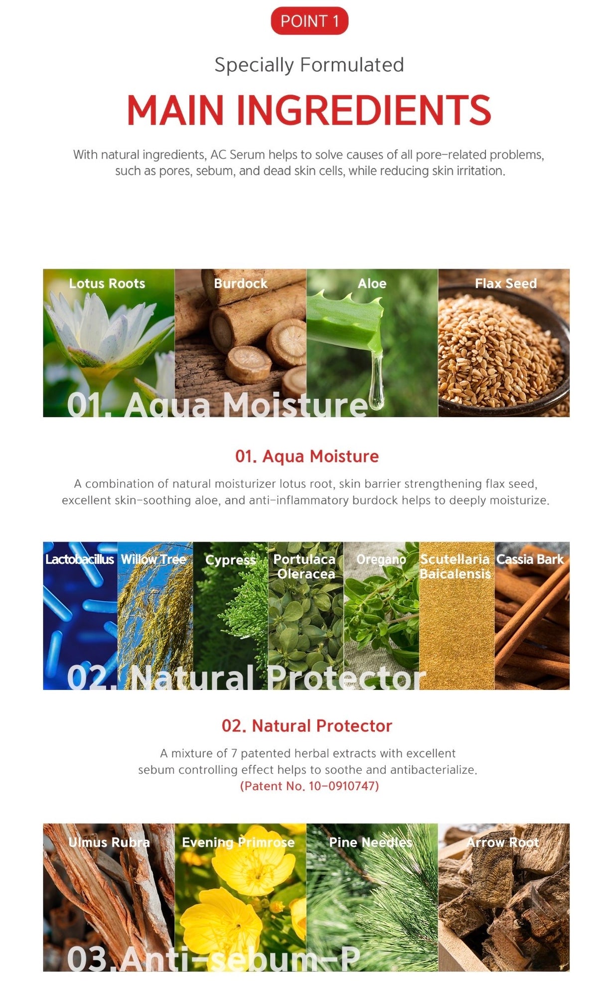 An informational ingredient graphic for a skincare product, titled 'Specially Formulated MAIN INGREDIENTS' with sections for '01. Aqua Moisture' and '02.